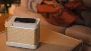 Bang and Olufsen Beolit 20 Bluetooth Speaker at Len Wallis Audio in Sydney