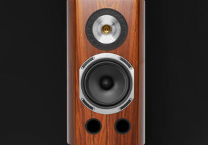 Triangle Magellan Duetto 40th Anniversary Edition at Len Wallis Audio