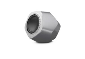 Bang and Olufsen Beolab 19 Subwoofer at Len Wallis Audio