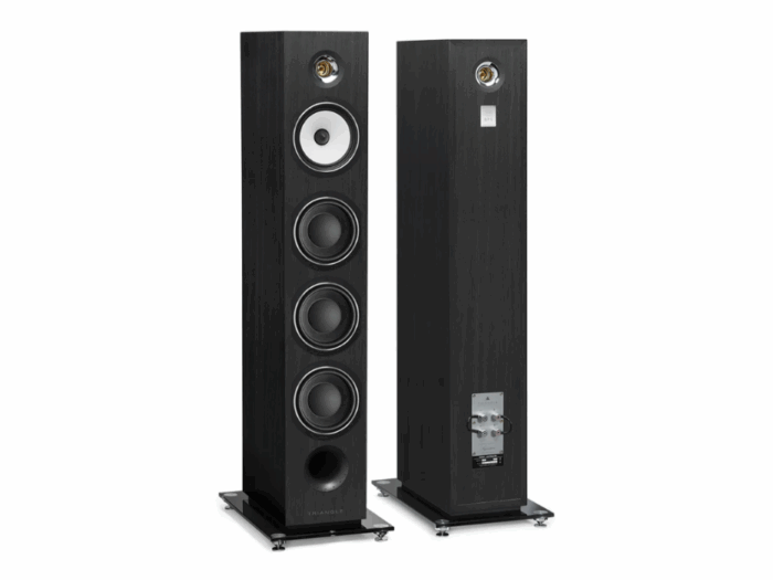 Triangle Esprit Australe EZ Floorstanding Speakers at Len Wallis Audio