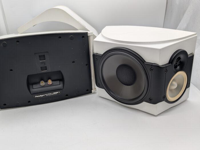Paradigm Monitor ADP-390 v5 Surround Speakers at Len Wallis Audio