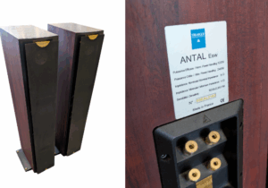 Triangle Antal ESW Floorstanding Speakers at Len Wallis Audio.