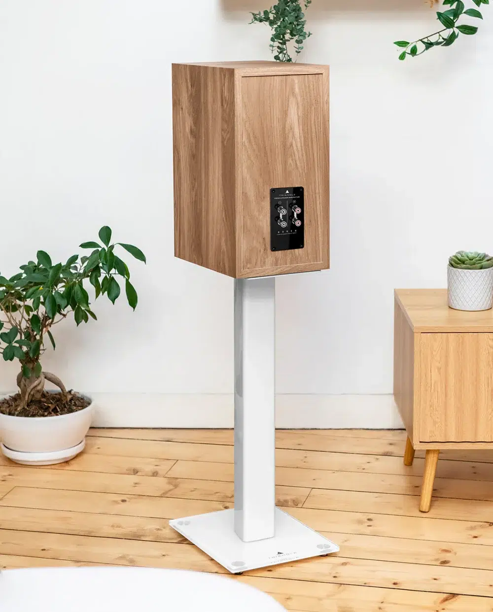 Triangle Borea BR04 Bookshelf Speakers at Len Wallis Audio